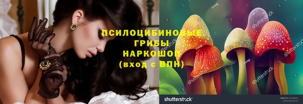 стаф Алексеевка