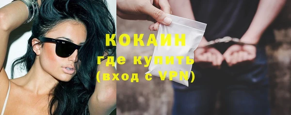 шишки Покровск