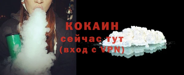 прущий лед Алзамай