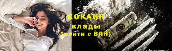 прущий лед Алзамай